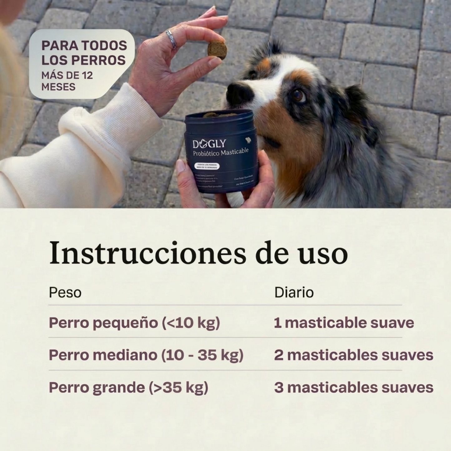 Probióticos para Perros - Digestión, Piel y Defensas