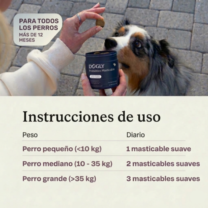 Probióticos para Perros - Digestión, Piel y Defensas